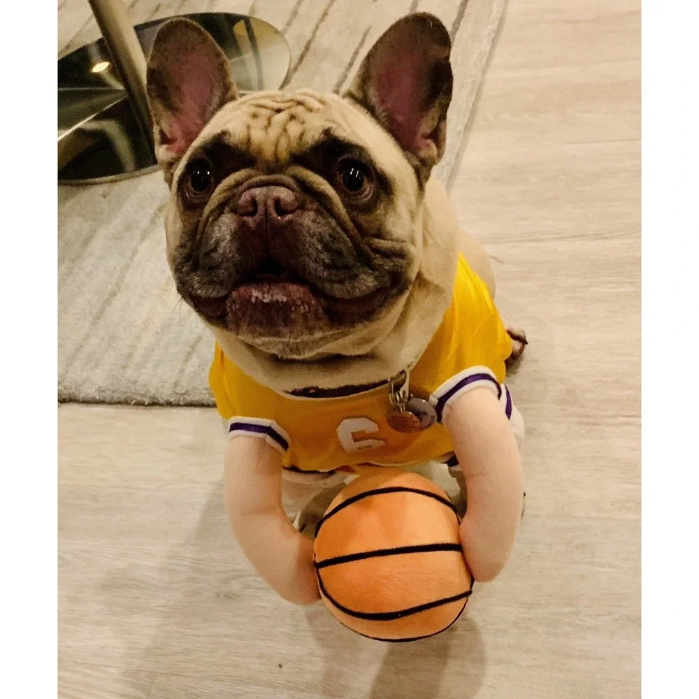 Show & Tail The Ball Hog Dog Basketball Costume Large L Yellow Halloween
